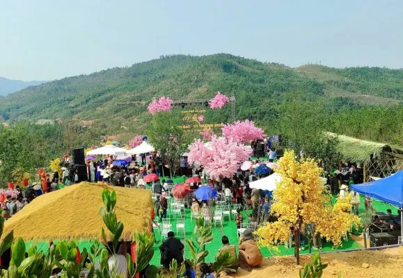 Sản phẩm 2203_hoa_anh_dao 579x400 — Công Ty Cổ Phần Công Nghệ Agrico — MST 5701817462