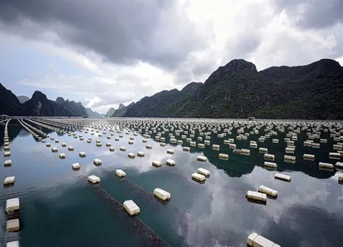 Sản phẩm day cuoc (1) — ống Nhựa HDPE NYOKO - Công Ty TNHH Nhựa NYOKO — MST 5701950256