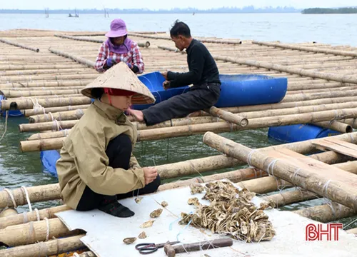 Sản phẩm day cuoc (6) — ống Nhựa HDPE NYOKO - Công Ty TNHH Nhựa NYOKO — MST 5701950256