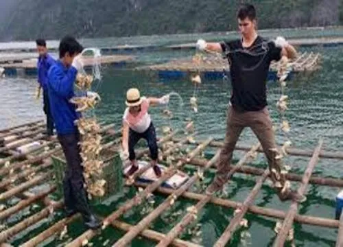 Sản phẩm day cuoc (9) — ống Nhựa HDPE NYOKO - Công Ty TNHH Nhựa NYOKO — MST 5701950256
