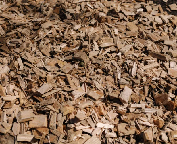 Sản phẩm wood shavings ground top view sawdust buried park textures scaled e1695225996186 — Công Ty TNHH Ruby 828 — MST 5702024850