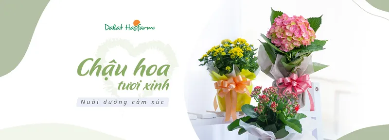 Sản phẩm 082c54e6b7d7333cca8fc31e054ddbce — Công Ty TNHH Dalat Hasfarm — MST 5800000167