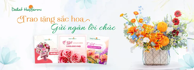 Sản phẩm 1caefd022bdb73b8ccbde96f54b9369e — Công Ty TNHH Dalat Hasfarm — MST 5800000167
