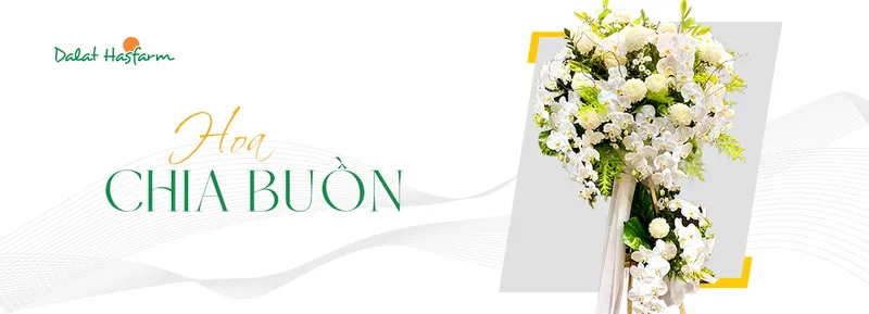 Sản phẩm 2ac06cc4560347802ab4a6c25c893088 — Công Ty TNHH Dalat Hasfarm — MST 5800000167