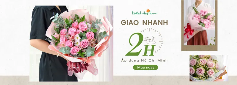 Sản phẩm 94f6c6b6bace65f35d703fa965d9d14f — Công Ty TNHH Dalat Hasfarm — MST 5800000167