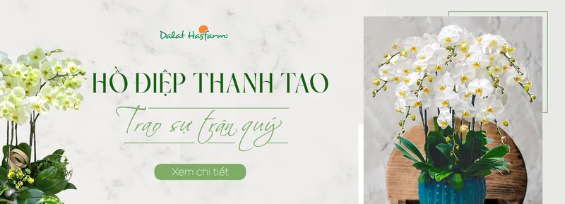 Sản phẩm dff67f171dd7d839c1e4e664c44160e6 — Công Ty TNHH Dalat Hasfarm — MST 5800000167