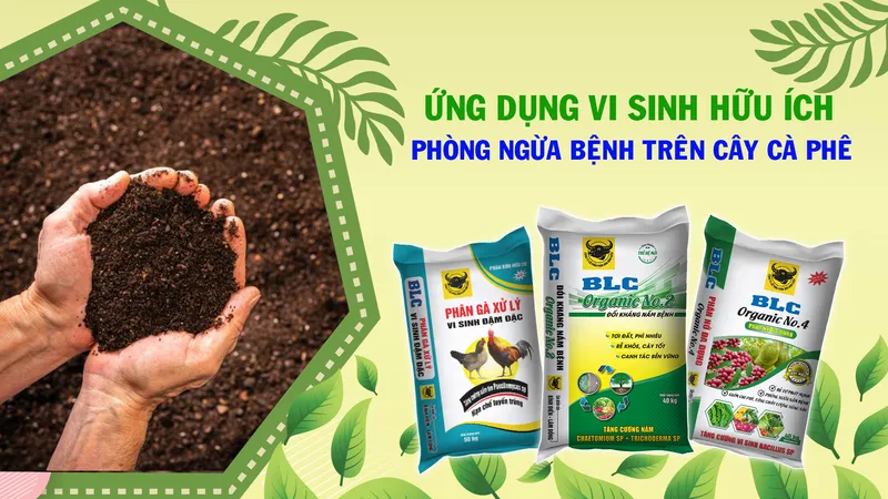 Sản phẩm A 01 — Công Ty Cổ Phần Bình Điền - Lâm Đồng — MST 5800606078