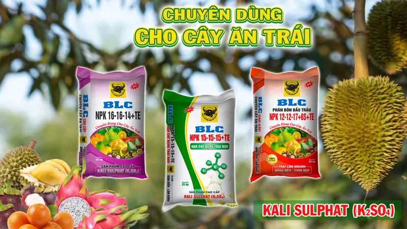 Sản phẩm an trai — Công Ty Cổ Phần Bình Điền - Lâm Đồng — MST 5800606078