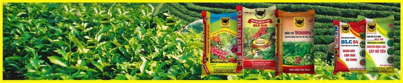 Sản phẩm SLITETOP3 — Công Ty Cổ Phần Bình Điền - Lâm Đồng — MST 5800606078
