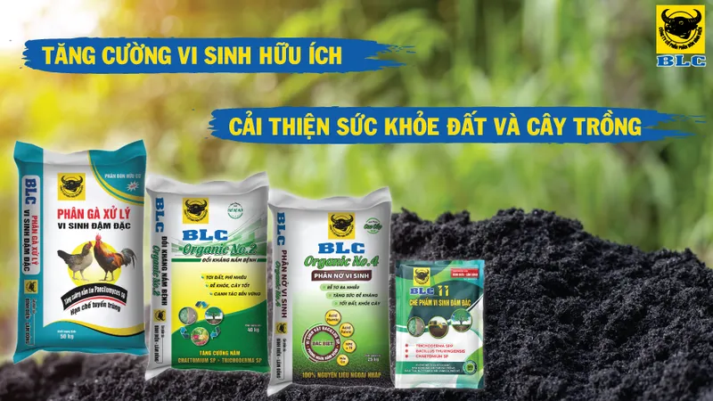 Sản phẩm video lua — Công Ty Cổ Phần Bình Điền - Lâm Đồng — MST 5800606078