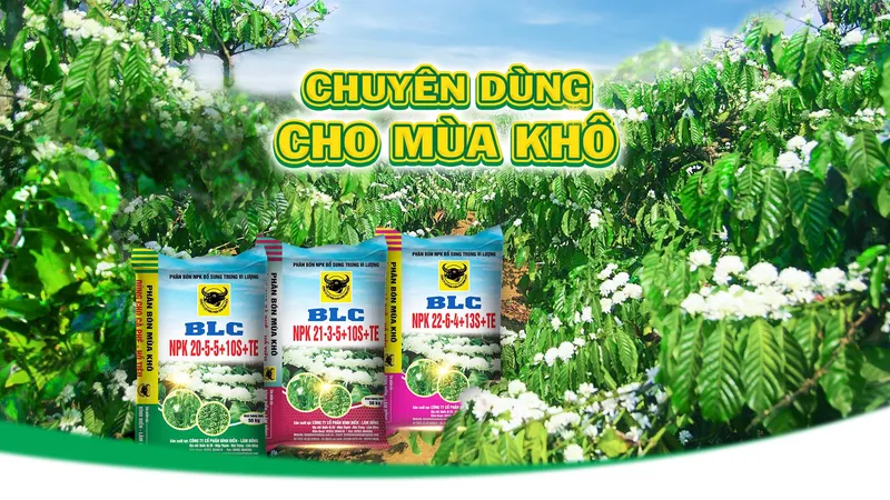 Sản phẩm z4433624141309_4b5e1009461bb8cab72928c0c970aa09 — Công Ty Cổ Phần Bình Điền - Lâm Đồng — MST 5800606078