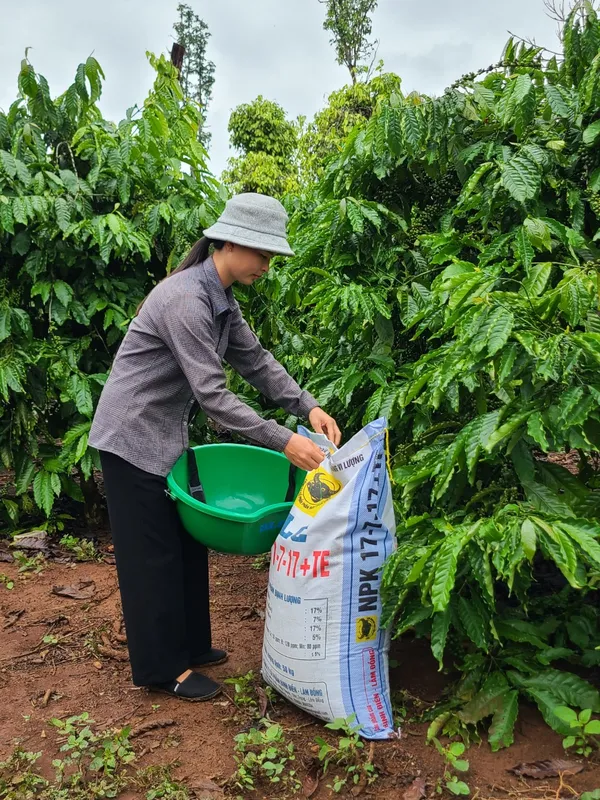 Sản phẩm z4520482228484_678008b05c65e5a259605300dc1d4474 — Công Ty Cổ Phần Bình Điền - Lâm Đồng — MST 5800606078