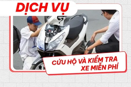 Sản phẩm 526_crop__dich_vu_head_tam_anh_1 — Công Ty TNHH Thương Mại Và Dịch Vụ Tâm Anh — MST 5800757969