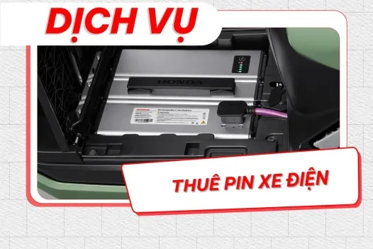 Sản phẩm 526_crop__dich_vu_head_tam_anh_2 — Công Ty TNHH Thương Mại Và Dịch Vụ Tâm Anh — MST 5800757969