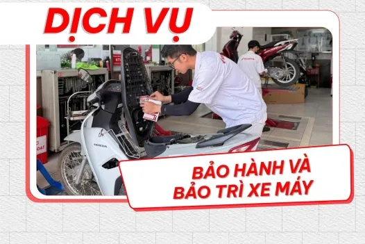 Sản phẩm 526_crop__dich_vu_head_tam_anh_4_1 — Công Ty TNHH Thương Mại Và Dịch Vụ Tâm Anh — MST 5800757969