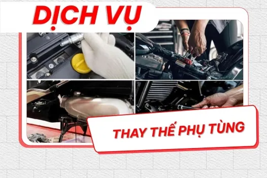 Sản phẩm 526_crop__dich_vu_head_tam_anh_5_1 — Công Ty TNHH Thương Mại Và Dịch Vụ Tâm Anh — MST 5800757969