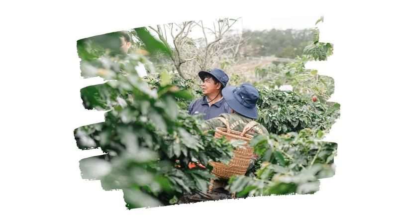 Sản phẩm Ban sao cua TRANG CHU _ TAM TRINH 2 — Cà Phê Tám Trình - Công Ty TNHH Xuất Nhập Khẩu Cà Phê Tám Trình — MST 5800858318