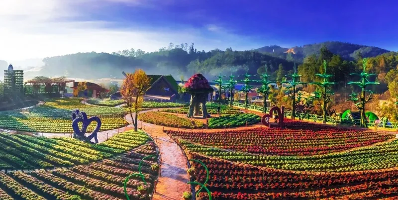 Sản phẩm Hinh anh da lat 8 1024x514 — Công Ty TNHH Du Lịch Song Châu Đà Lạt — MST 5801179284