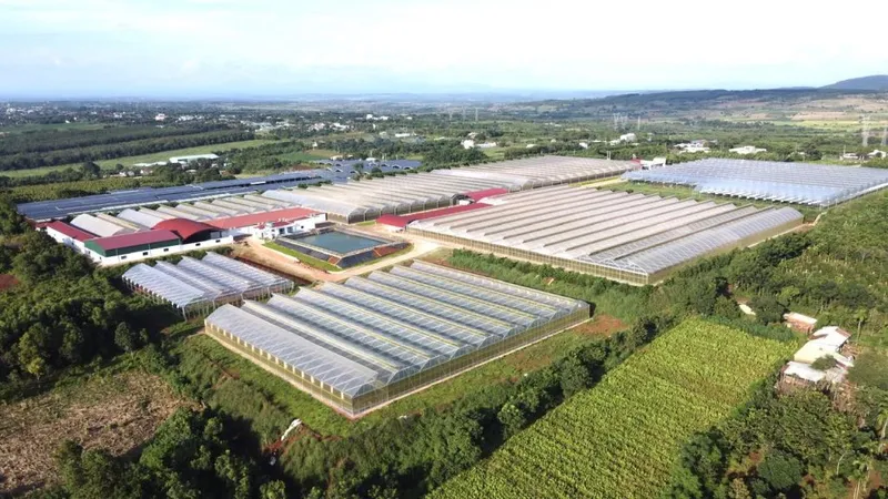 Sản phẩm 414973482_863715179091139_7830116866044543413_n 1024x576 — Công Ty Cổ Phần Quốc Tế Thông Đỏ — MST 5801204660