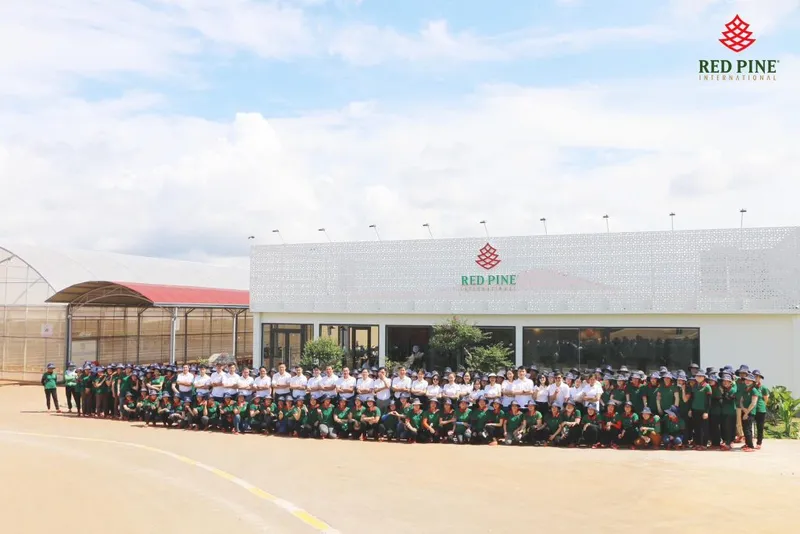 Sản phẩm 350933663_189706126991072_796994903595856442_n 1024x683 — Công Ty Cổ Phần Quốc Tế Thông Đỏ — MST 5801204660