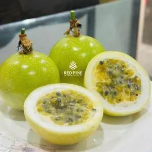 Sản phẩm 442419423_973696211426368_4060527882677335433_n 300x300 — Công Ty Cổ Phần Quốc Tế Thông Đỏ — MST 5801204660