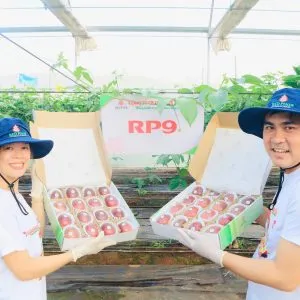 Sản phẩm z6022455544449_7786fa8f60b8fd2bc10e3f5449381ae8 300x300 — Công Ty Cổ Phần Quốc Tế Thông Đỏ — MST 5801204660
