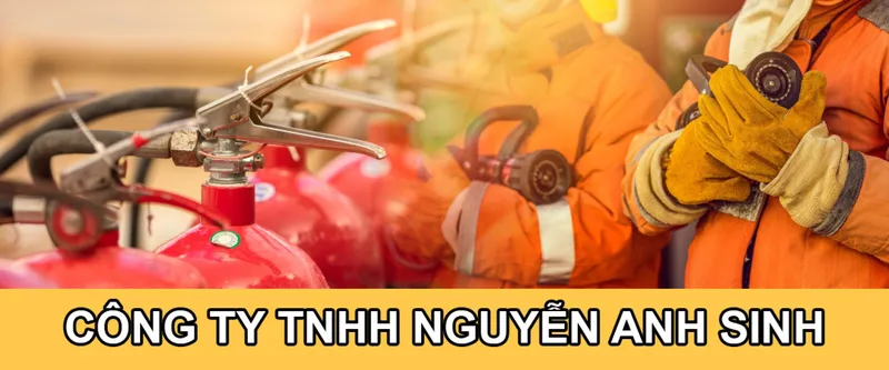 Sản phẩm 5fc02ea23e8cac2942ce02f429b97287 — Công Ty TNHH Nguyễn Anh Sinh — MST 5801299905