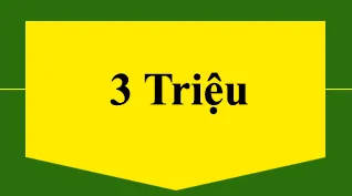 Sản phẩm goi2 — Công Ty TNHH Dịch Vụ Và Thương Mại Đức Trí Việt — MST 5801316082