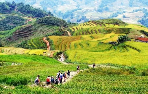 Sản phẩm 2025 03 origin 929507dff27f07e8237680ff4ffbf215 500x0 — Công Ty TNHH DV TM Du Lịch Rồng Việt — MST 5801321678