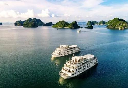 Sản phẩm 2025 03 origin f956161dec34bc97b66559ba92859fe1 500x0 — Công Ty TNHH DV TM Du Lịch Rồng Việt — MST 5801321678