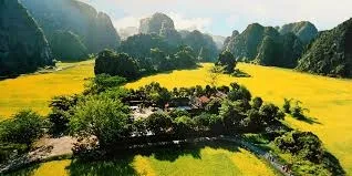 Sản phẩm 2025 04 origin 247203898bf34077fdd8904d648ee54d 500x0 — Công Ty TNHH DV TM Du Lịch Rồng Việt — MST 5801321678