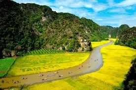 Sản phẩm 2025 04 origin b3e10b1c35217a6757bf17cfb32a350e 500x0 — Công Ty TNHH DV TM Du Lịch Rồng Việt — MST 5801321678