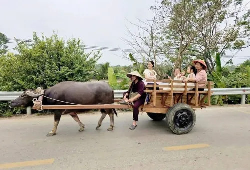 Sản phẩm menu 2026 05 xe trau 500x0 — Công Ty TNHH DV TM Du Lịch Rồng Việt — MST 5801321678