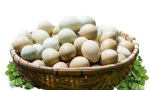 Sản phẩm eggs — Công Ty TNHH Thương Mại Chăn Nuôi Thành Công — MST 5801379276