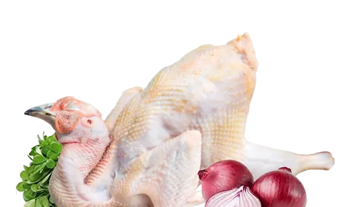 Sản phẩm meal — Công Ty TNHH Thương Mại Chăn Nuôi Thành Công — MST 5801379276
