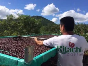 Sản phẩm ca phe sach ritachi coffee 300x225 — Ritachi Coffee - Công Ty TNHH Nosavi — MST 5801382247