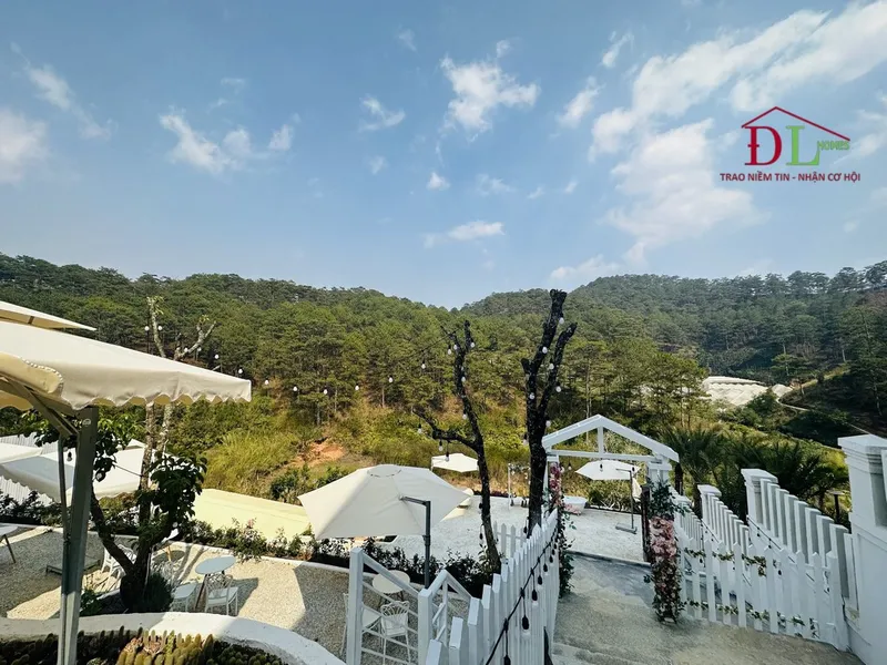 Sản phẩm dat hoang hoa tham da lat thich hop nghi duong 8 — Công Ty TNHH Bất Động Sản Đà Lạt Homes — MST 5801405222