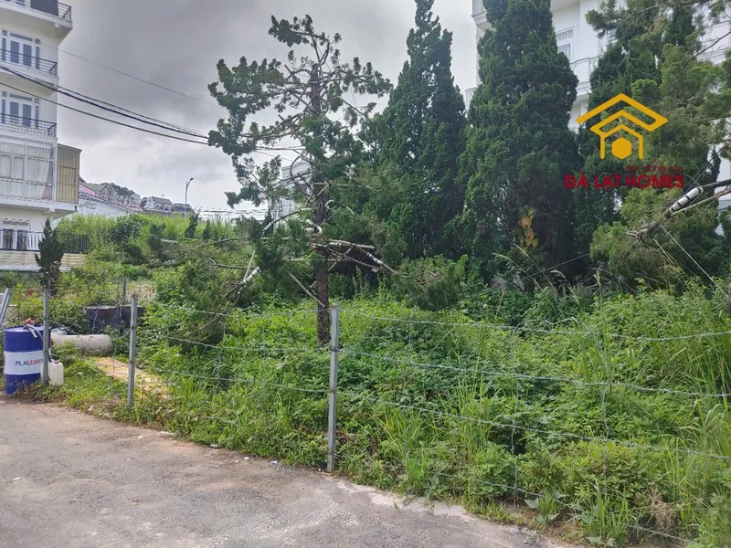 Sản phẩm ban lo dat 2 mat tien to hien thanh p3 da lat 1 — Công Ty TNHH Bất Động Sản Đà Lạt Homes — MST 5801405222