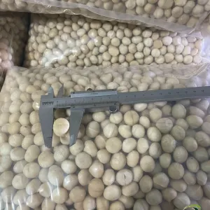 Sản phẩm 31_300 — Công Ty TNHH Macca & Cà Phê Kim Liên Lâm Hà — MST 5801487514