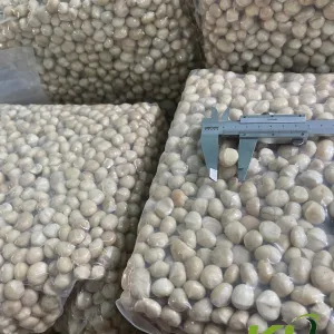 Sản phẩm 41_300 — Công Ty TNHH Macca & Cà Phê Kim Liên Lâm Hà — MST 5801487514