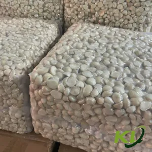 Sản phẩm 51_300 — Công Ty TNHH Macca & Cà Phê Kim Liên Lâm Hà — MST 5801487514