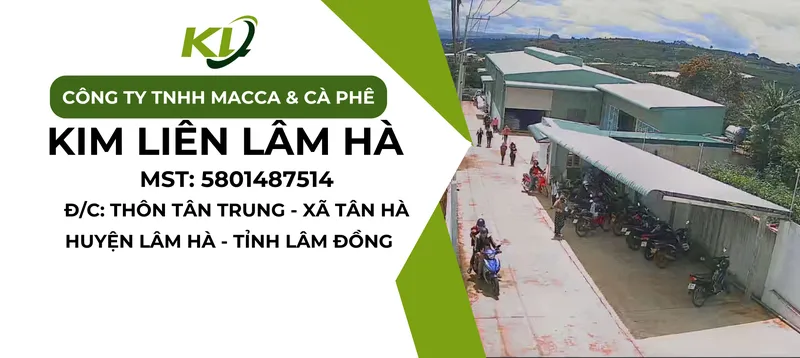 Sản phẩm KIM_LIEN_LAM_HA — Công Ty TNHH Macca & Cà Phê Kim Liên Lâm Hà — MST 5801487514