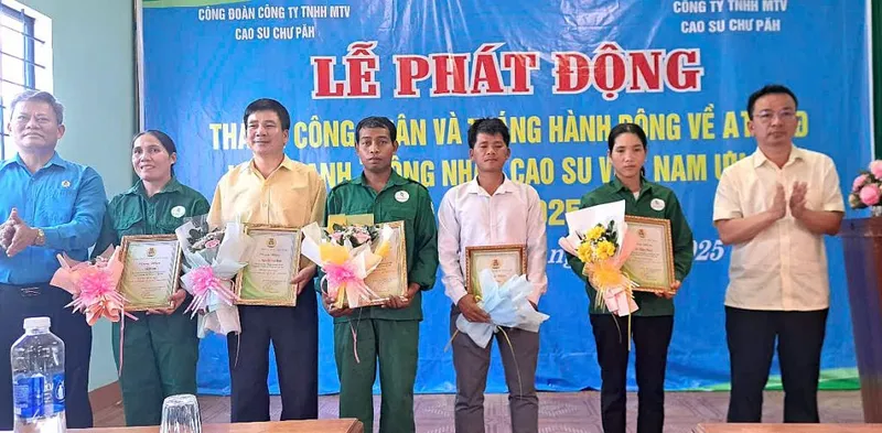 Văn phòng Cao Su Chư Păh - Công Ty TNHH MTV Cao Su Chư Păh #05 — MST 5900190507