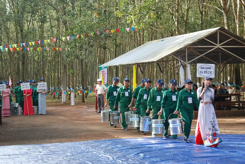 Sản phẩm DSC_0552 — Cao Su Chư Păh - Công Ty TNHH MTV Cao Su Chư Păh — MST 5900190507