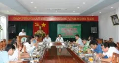 Sản phẩm DTP_5151 1024x684 1 242x128 — Cao Su Chư Păh - Công Ty TNHH MTV Cao Su Chư Păh — MST 5900190507