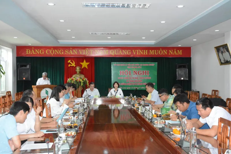 Sản phẩm DTP_5151 1024x684 1 — Cao Su Chư Păh - Công Ty TNHH MTV Cao Su Chư Păh — MST 5900190507