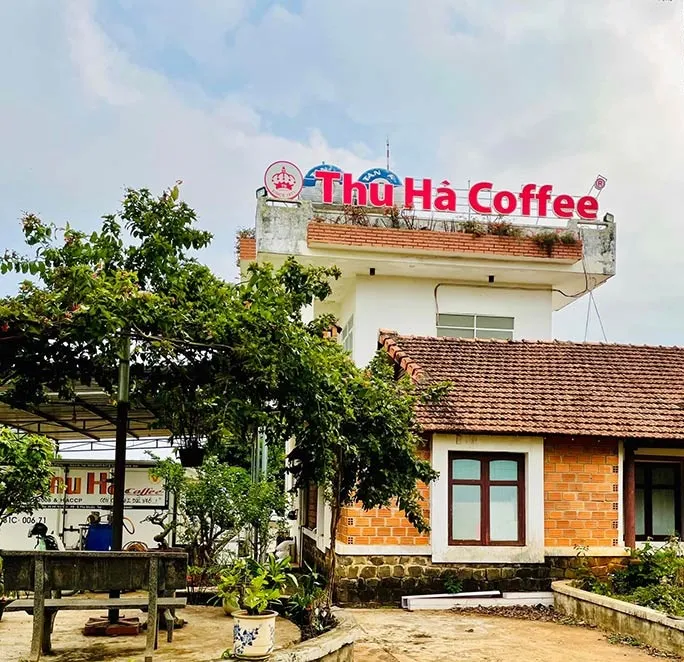 Sản phẩm ca phe hat thu ha gia lai — Cà Phê Thu Hà - Công Ty Cổ Phần Cà Phê Thu Hà — MST 5900254648