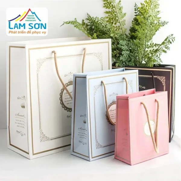 Sản phẩm in tui giay zrwpe8s1 — In Lam Sơn - Công Ty TNHH Một Thành Viên In Photocopy Lam Sơn — MST 5900844005