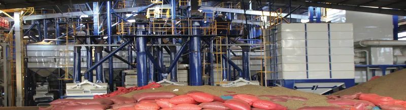Sản phẩm 8185734325922550 — Công Ty TNHH Xuất Nhập Khẩu Hoa Trang — MST 5900943158