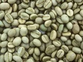 Sản phẩm 998457108778939yt 8383 — Công Ty TNHH Xuất Nhập Khẩu Hoa Trang — MST 5900943158